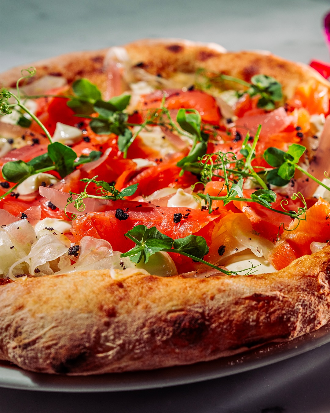 salmone